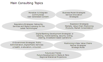 5CCG Main Consulting Topics - Click to enlarge